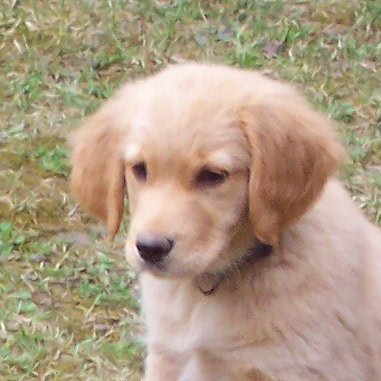 Team Member #2